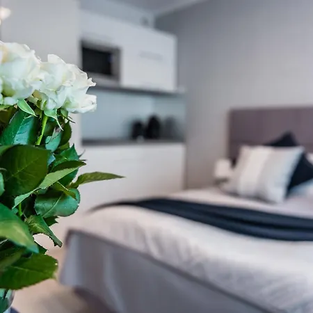 شقة Apartament Pilsudskiego Wawelofts كراكوفيا