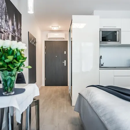 Апартаменты Apartament Pilsudskiego Wawelofts Краков
